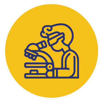 Prancheta 5icones solucoes